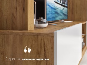 Гостиная Флекс в Ялуторовске - yalutorovsk.magazinmebel.ru | фото - изображение 4