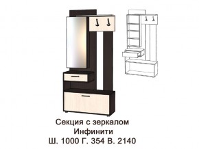 Секция с зеркалом в Ялуторовске - yalutorovsk.magazinmebel.ru | фото